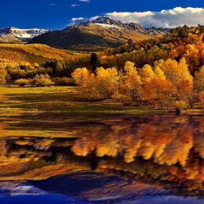 火狐电竞app下载