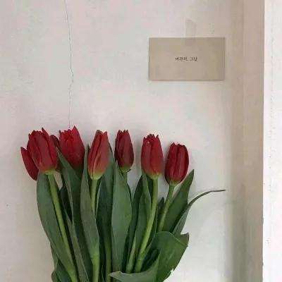 金博宝官网手机app下载